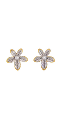 flor de renacer
